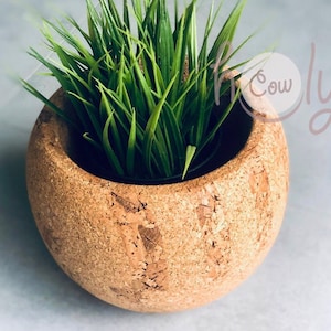 Eco Friendly Natural Cork Planter, Eco Cork Planter, Eco Cork Vase, Rustic Planter, Natural Planter, Cork Planter, Plant Pot, FREE SHIPPING