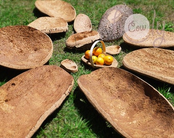 Handcrafted Eco Friendly Sustainable Natural Cork Bark Bowls Available In A Wide Range Of Shapes And Sizes, FREE SHIPPING