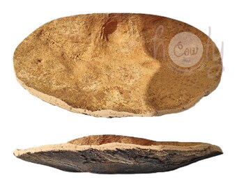 Large Eco Friendly Natural Cork Bark Bowl, Cork Bowl, Rustic Bowl, Natural Bowl, Rustic Fruit Bowl, Eco Friendly Bowl, FREE SHIPPING