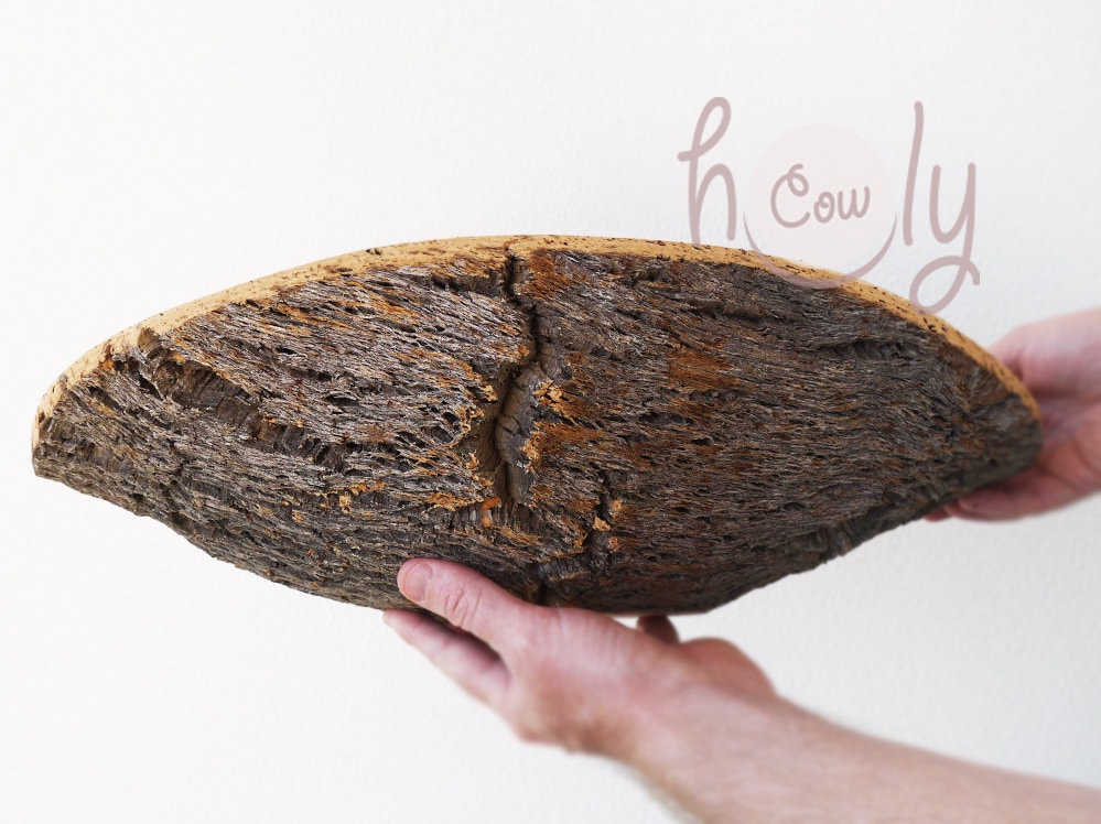 100 Eco Friendly Natural Large Cork Bark Bowl Cork Bowl Etsy