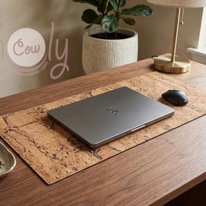 May include: A closed silver laptop with a logo is on a cork desk mat. A black mouse sits to the right of the laptop. A small tray with a pen and two stones is on the left. The desk is made of wood. A lamp and plant are in the background.