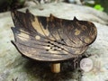 Coconut Shell Leaf Soap Dish, Soap Dish, Natural Soap Dish, Leaf Soap Dish, Soap Holder, Organic Soap Holder, Wooden Soap Dish, Soap product logo