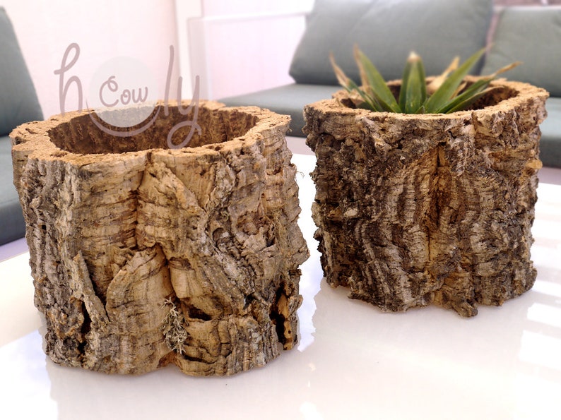 Large Eco Friendly and 100 Natural Cork Bark Planter Large Etsy
