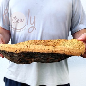 Puede incluir: Un cuenco grande de corcho natural con una superficie rugosa y texturizada. El cuenco es de color marrón claro y tiene una forma ligeramente ovalada. Está siendo sostenido por las manos de una persona.