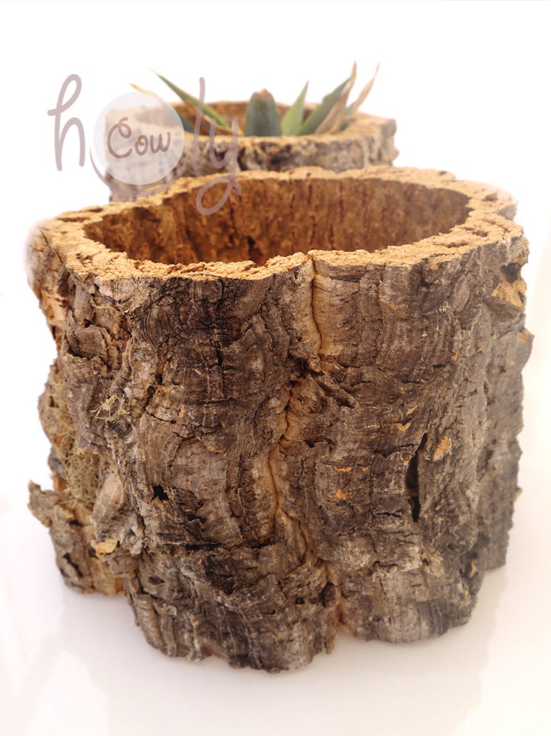 Large Eco Friendly and 100 Natural Cork Bark Planter Large Etsy
