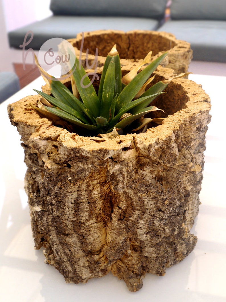 Large Eco Friendly and 100 Natural Cork Bark Planter Large Etsy