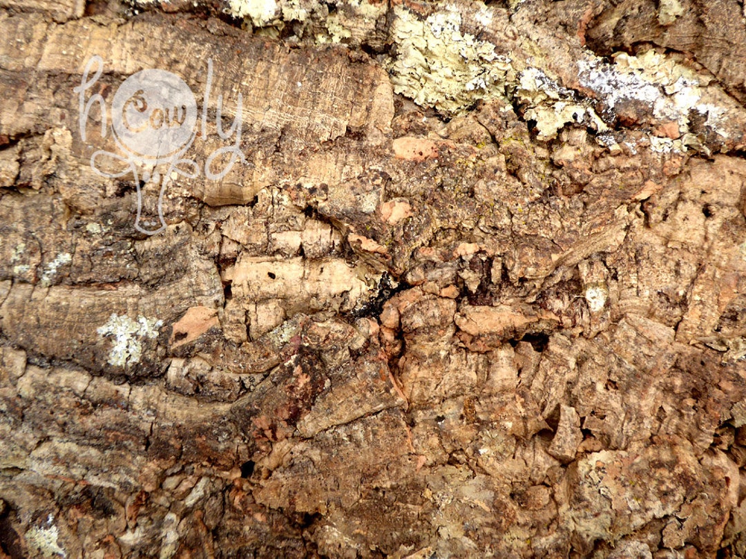 Large Eco Friendly Natural Thick 3D Cork Bark Tiles, Large Wall Tiles