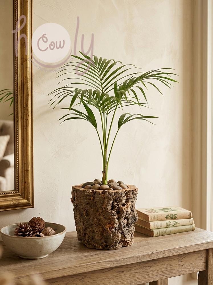 Natural Cork Bark Planter, Rustic Cylindrical Garden Pot (18cm H X