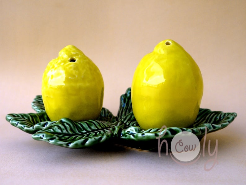 Handmade Ceramic Salt and Pepper Shaker Set Lemon Salt and Etsy