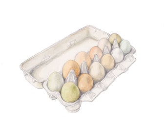 Farm fresh eggs in carton watercolor and pencil print 5 x 7"