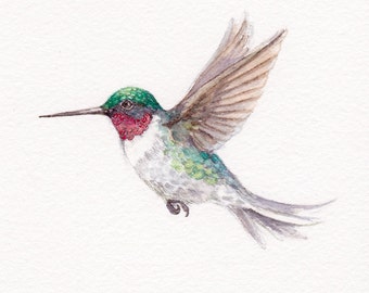 Impresión de colibrí garganta rubí, 5 x 7 pulgadas, acuarela