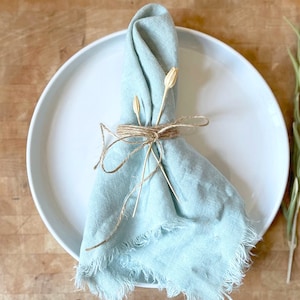 Blue Linen Napkins, Boho Cloth Napkins with Fringe, Eco Friendly Napkins, Farmhouse Napkins, Fringe Linen Napkins, Handmade Cloth Napkins image 1