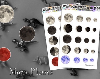 Moon Phase Tracking BuJo/Book of Shadows planner stickers