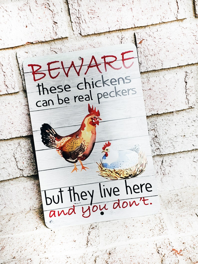 Beware of the chickens Outdoor Metal Sign, chicken coop Signs, Indoor/outdoor metal signs, fresh eggs, Backyard Chicken coop decor image 7