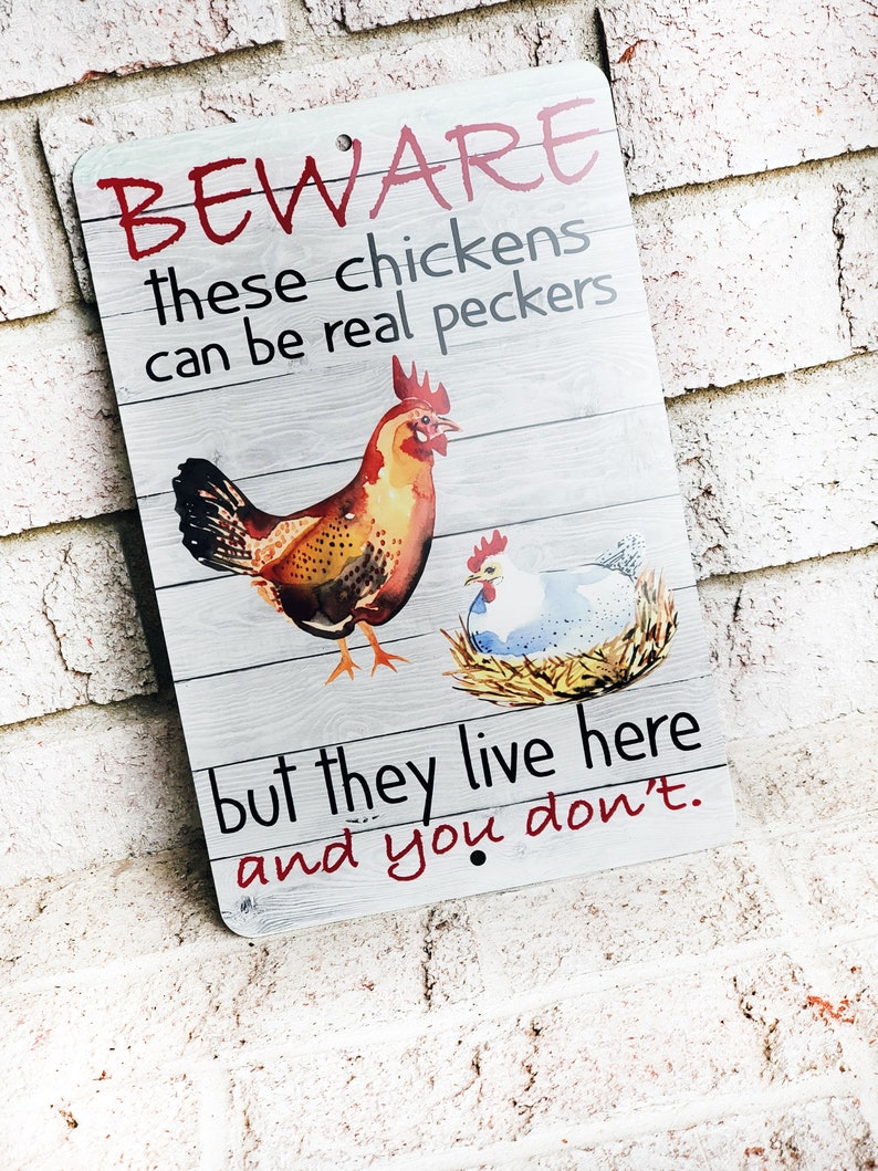 Beware of the chickens Outdoor Metal Sign, chicken coop Signs, Indoor/outdoor metal signs, fresh eggs, Backyard Chicken coop decor image 5