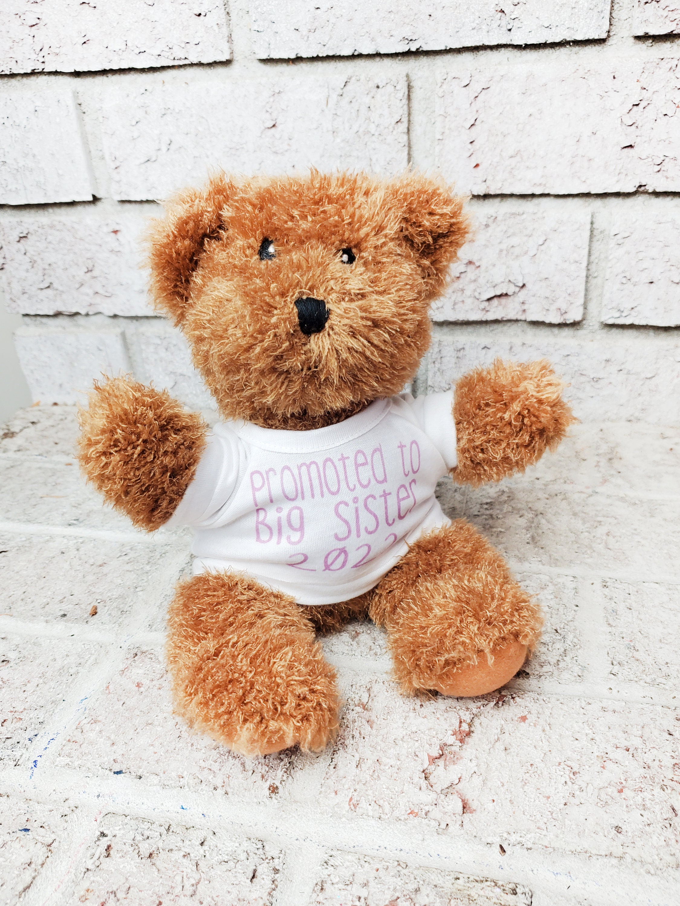 Big Sister Teddy Bear Promoted to Big 