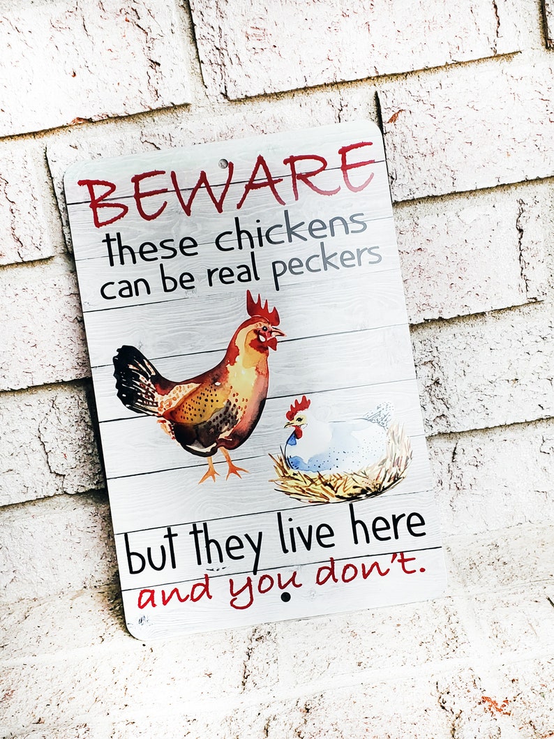 Beware of the chickens Outdoor Metal Sign, chicken coop Signs, Indoor/outdoor metal signs, fresh eggs, Backyard Chicken coop decor image 2