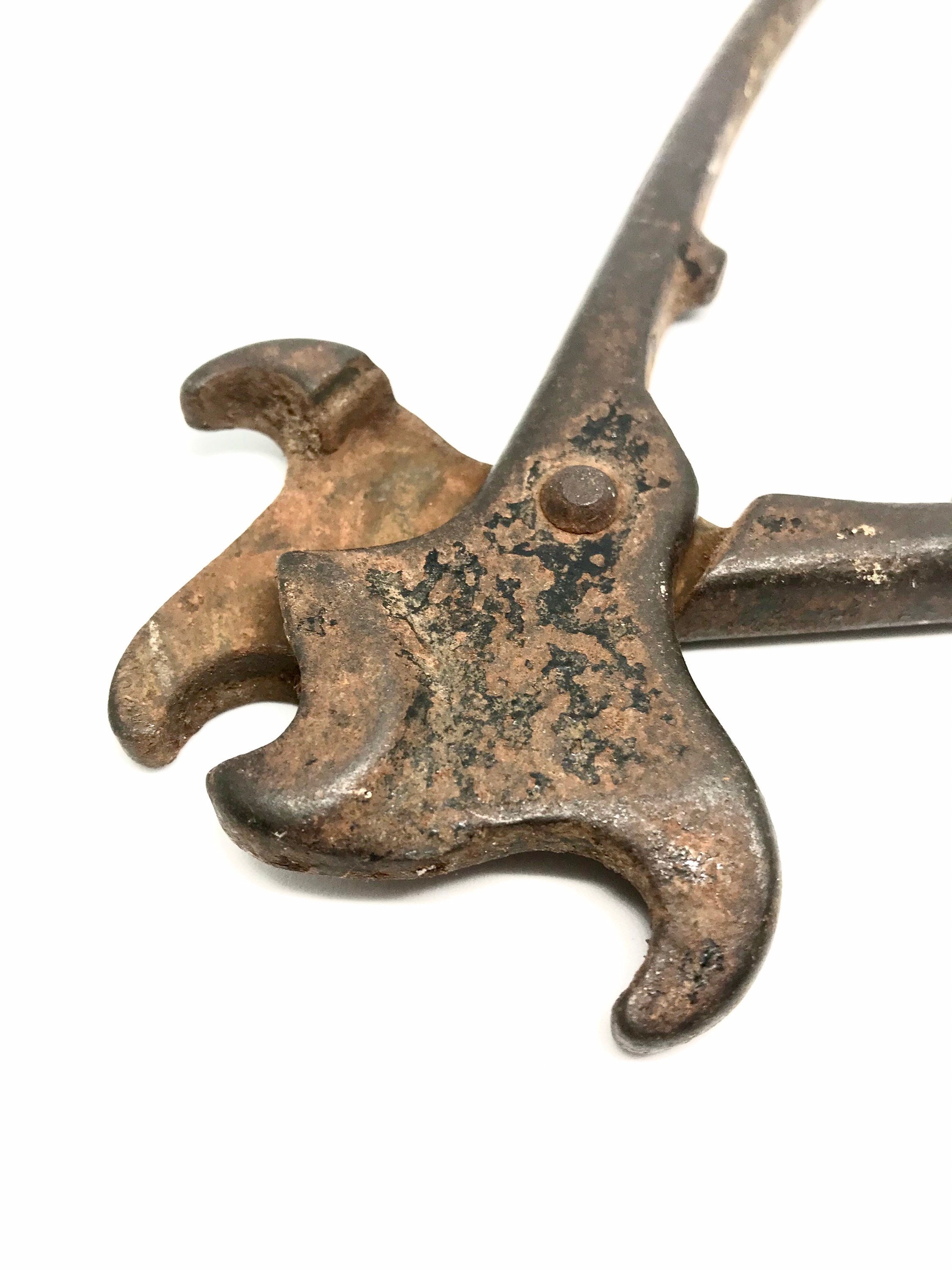 nose ring pliers
