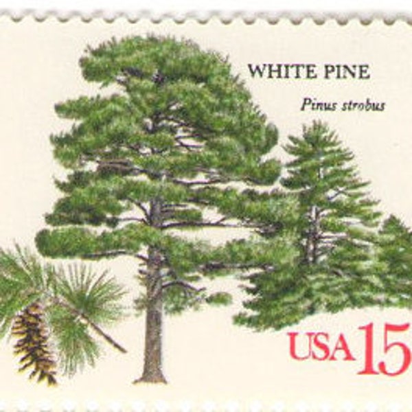 Unused 1978 White Pine Trees - American Trees - Vintage Postage Stamps Number 1765