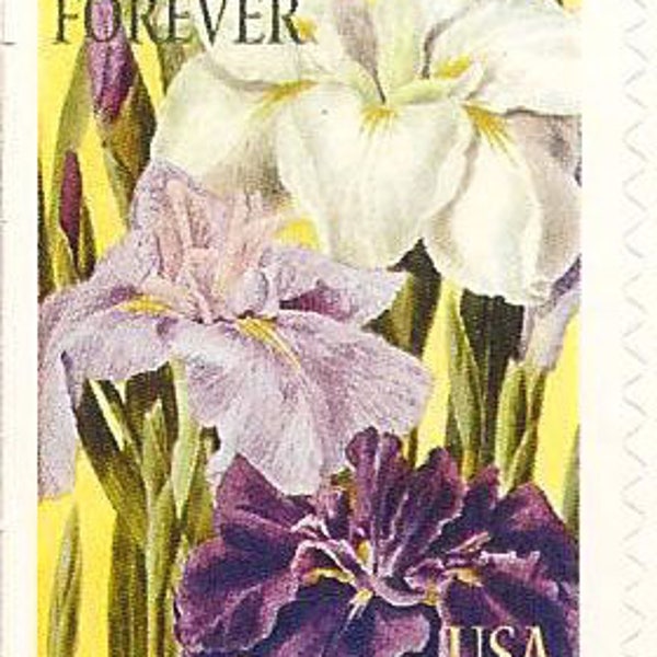 Unused 2016 Japanese Irises - Botanical Art Forever Postage Stamps Number 5048