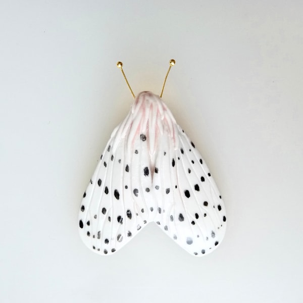 White and black moth porcelain brooch