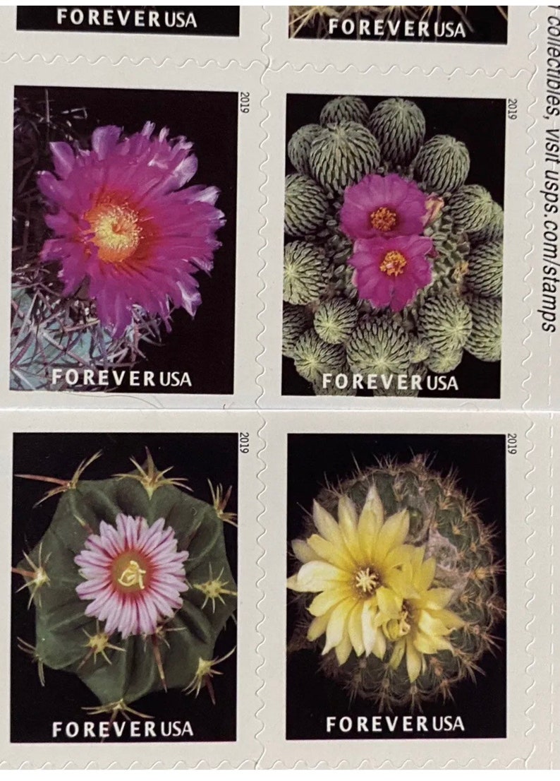 200 USPS Cactus Flowers Forever Stamps UV Light AUTHENTICATED Etsy