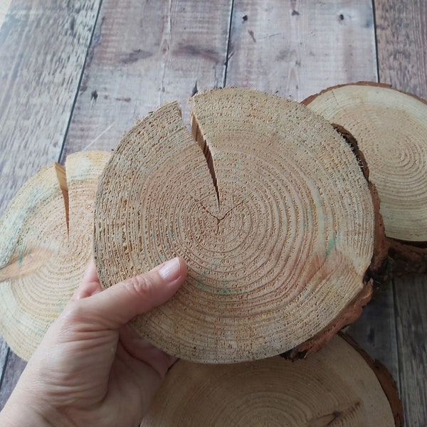 Log table centre pieces, 18cm diameter by 4cm tall large rustic larch wood slices