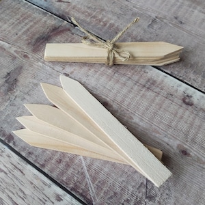 Wood Plant Labels Vegetable Garden Veg Patch Herb Markers Indoor Plant Stake Identifier Garden Tag Willow Natural Sustainable Handmade