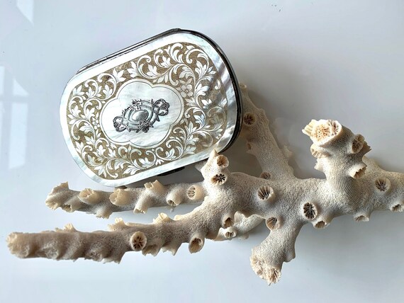 Antique Mother of Pearl Coin Purse - French Breve… - image 1