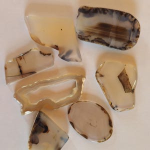 Montana Agate Polished Slab Lot of 7 stones