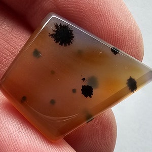 Montana Agate Freeform Cab-2