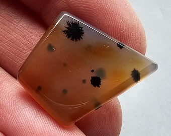 Montana Agate Freeform Cab-2