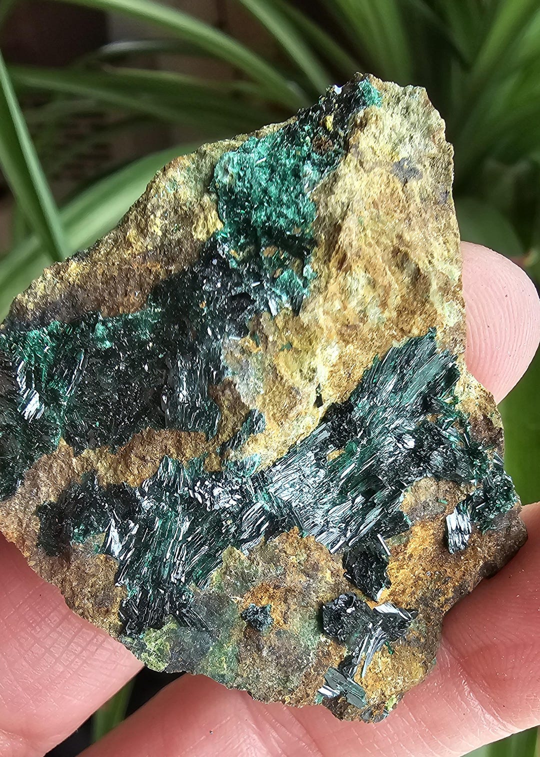 Rare Atacamite Mineral Specimen: Chilean Copper Stone 3 - Etsy
