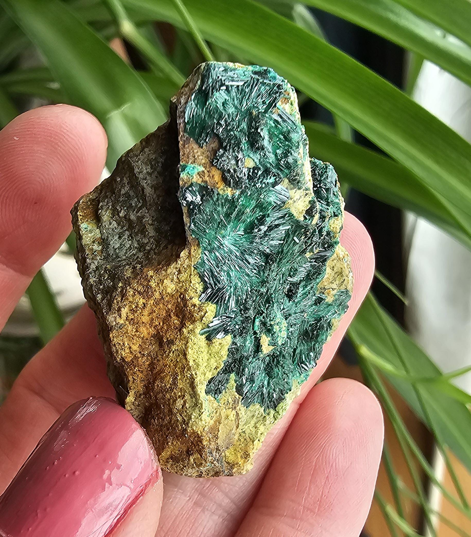 Rare Atacamite Mineral Specimen: Chilean Copper Stone 1 - Etsy UK