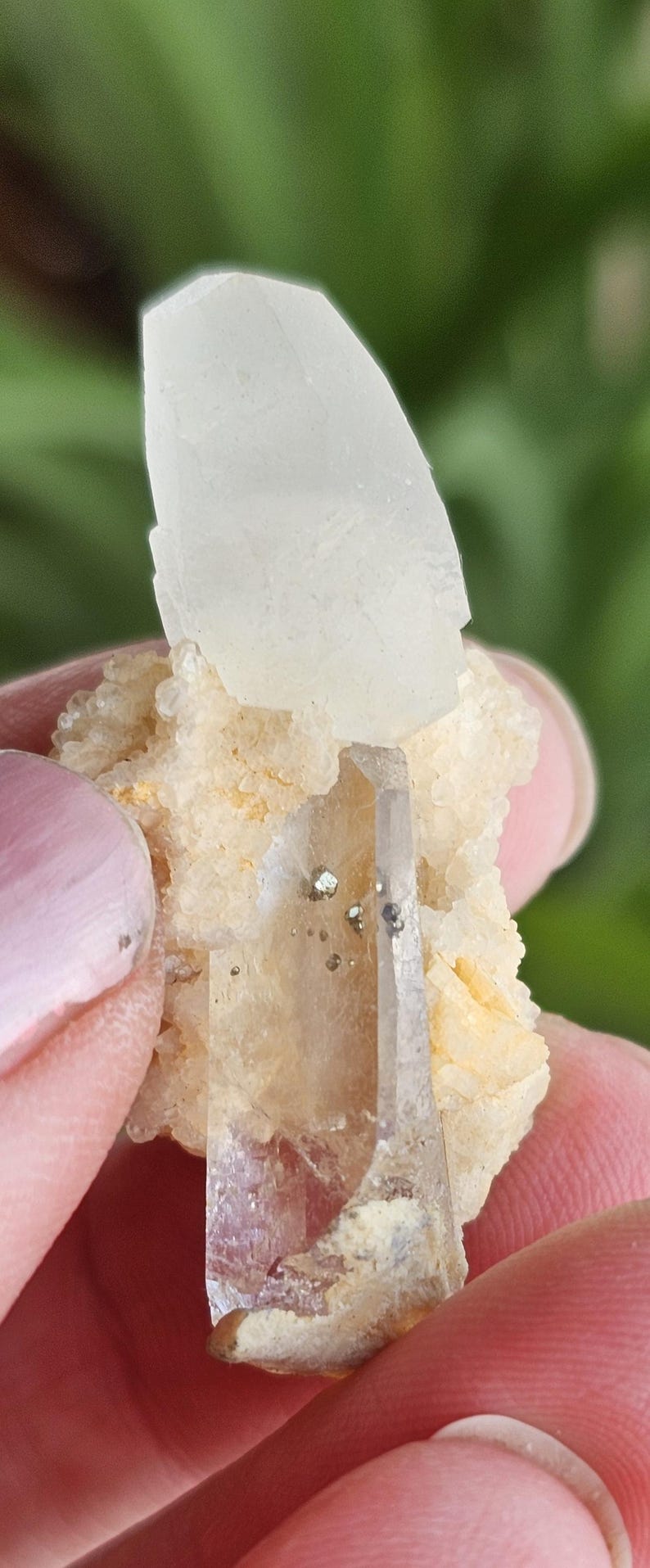 Pyrite, Ankerite, Calcite and Quartz Specimen From Spruce Ridge ...