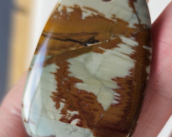 Stone Owyhee Picture Jasper Pendant