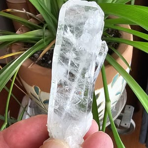 May include: A clear quartz crystal with a rough, textured surface. The crystal is held in front of green plants in a decorative pot. The quartz is a light, translucent colour. The crystal's shape is irregular.