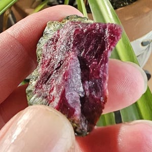 以下が含まれることがあります： 深いバーガンディ色の原石で、緑と白のアクセントが施されています。 粗くカットされた石は指の間に挟まれ、その質感のある表面と結晶構造を示しています。 この宝石はおそらくトルマリンの一種です。