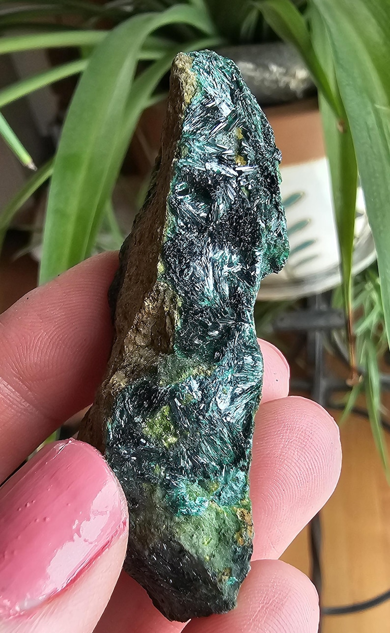 Rare Atacamite Mineral Specimen: Chilean Copper Stone 4 - Etsy