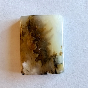 Carey Plume Agate Cabochon