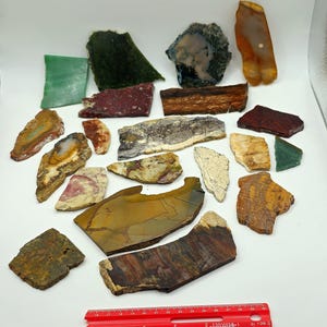 May include: Assortment of 17 polished agate slices in various colors and patterns, including green, red, brown, and white. The slices are arranged on a white surface with a ruler for scale.