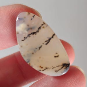 Montana Agate Freeform Cab-3