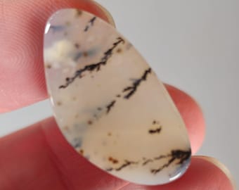Montana Agate Freeform Cab-3