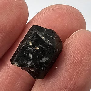 May include: A small, black, raw tourmaline crystal with a rough, textured surface. The crystal is held between two fingers, showcasing its natural, unpolished form. The stone has small, light-colored inclusions.