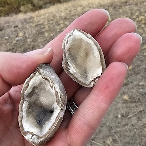 May include: Two geode halves, held in a hand, showcasing a crystalline interior. The outer shell is a mix of brown and gray, with a white and clear crystal center. The background is a blurred outdoor scene.