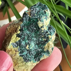 Rare Atacamite Mineral Specimen: Chilean Copper Stone 1