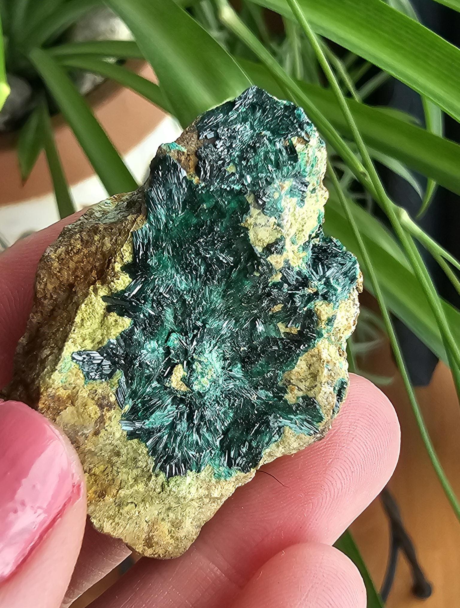 Torbernite mineral - Etsy 日本