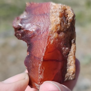 May include: A raw, natural carnelian stone with a polished, reddish-orange surface. The stone has a rough, textured edge and is held in a person's hand. The carnelian is a semi-precious gemstone often used in jewelry and decorative items.