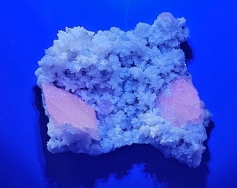 Puede incluir: Un grupo de pequeños cristales de color azul claro con dos cristales rosas más grandes incrustados en el centro. Los cristales están sobre un fondo azul.