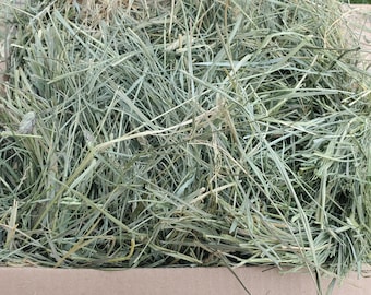 2lb Grass Hay for Rabbits, Guinea Pigs, Chinchillas – Fresh First Cutting Forage